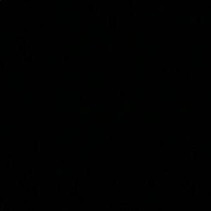 Meet your Posher, Dahlia